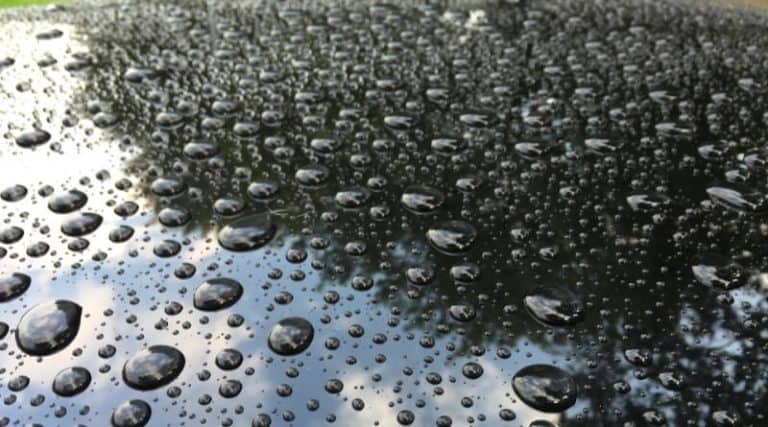 What is the best wax for black car paint for the money?