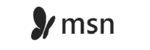 msn logo